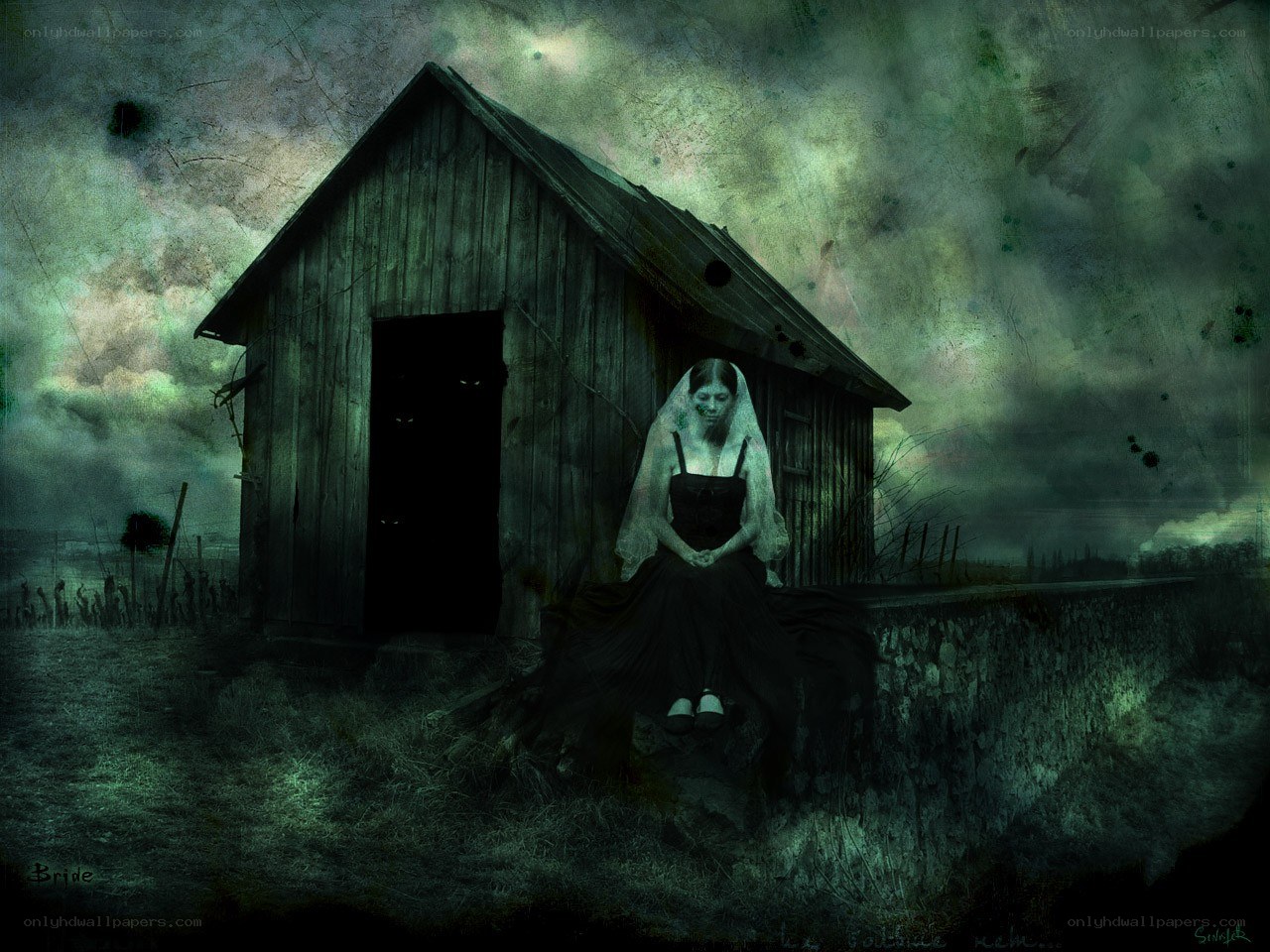 haunted bride in a dark field