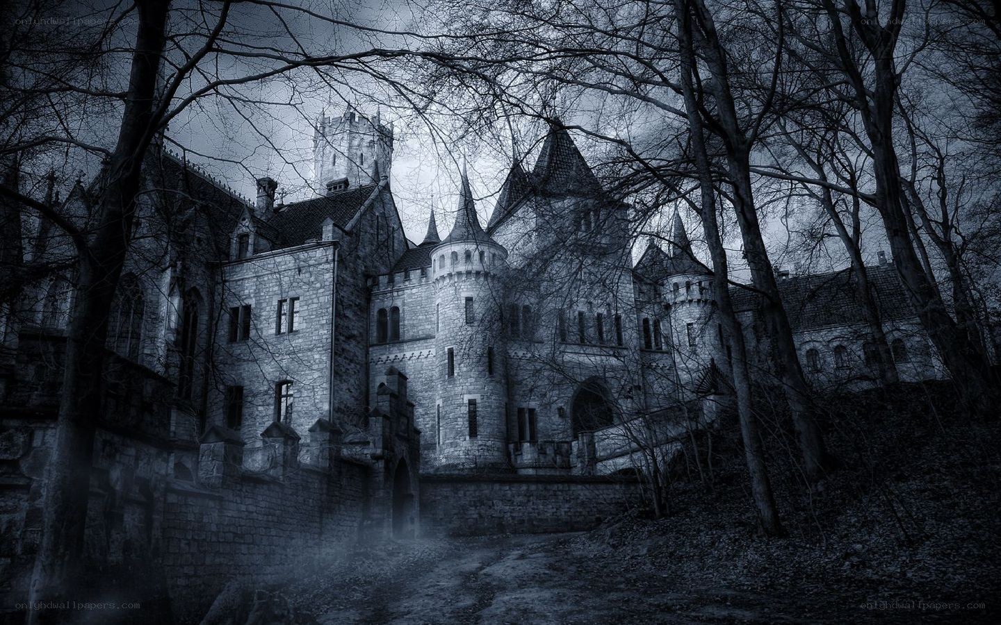 haunted castle in dark forest