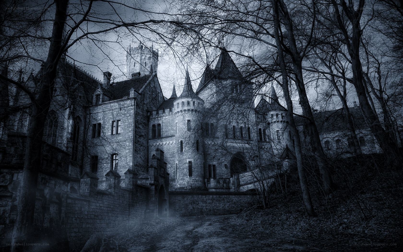 haunted castle in the woods
