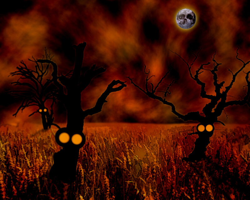 haunted field at night