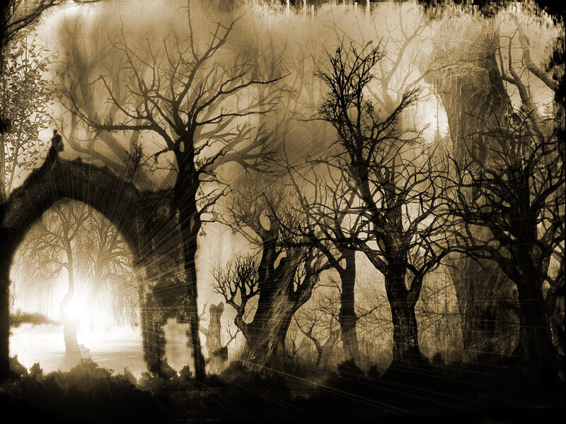haunted forest at dusk