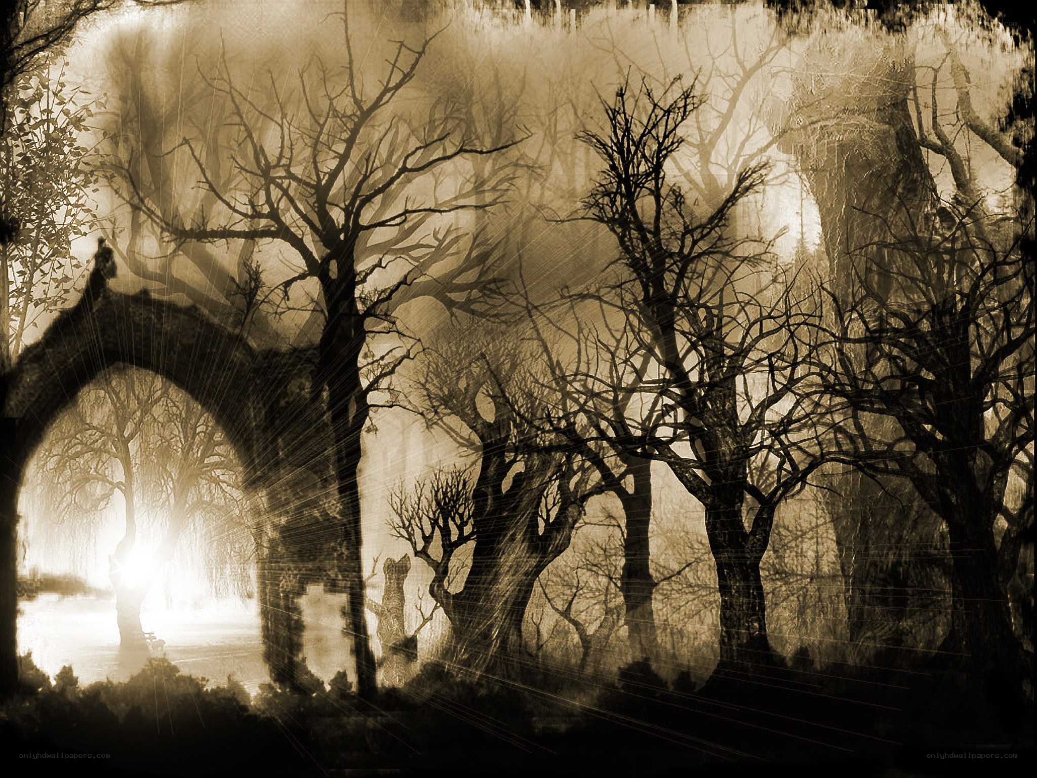 haunted forest at dusk