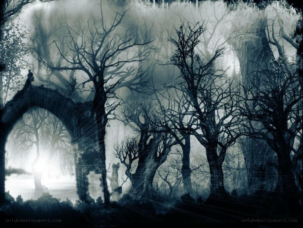 haunted forest at night