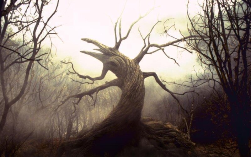 haunted forest tree