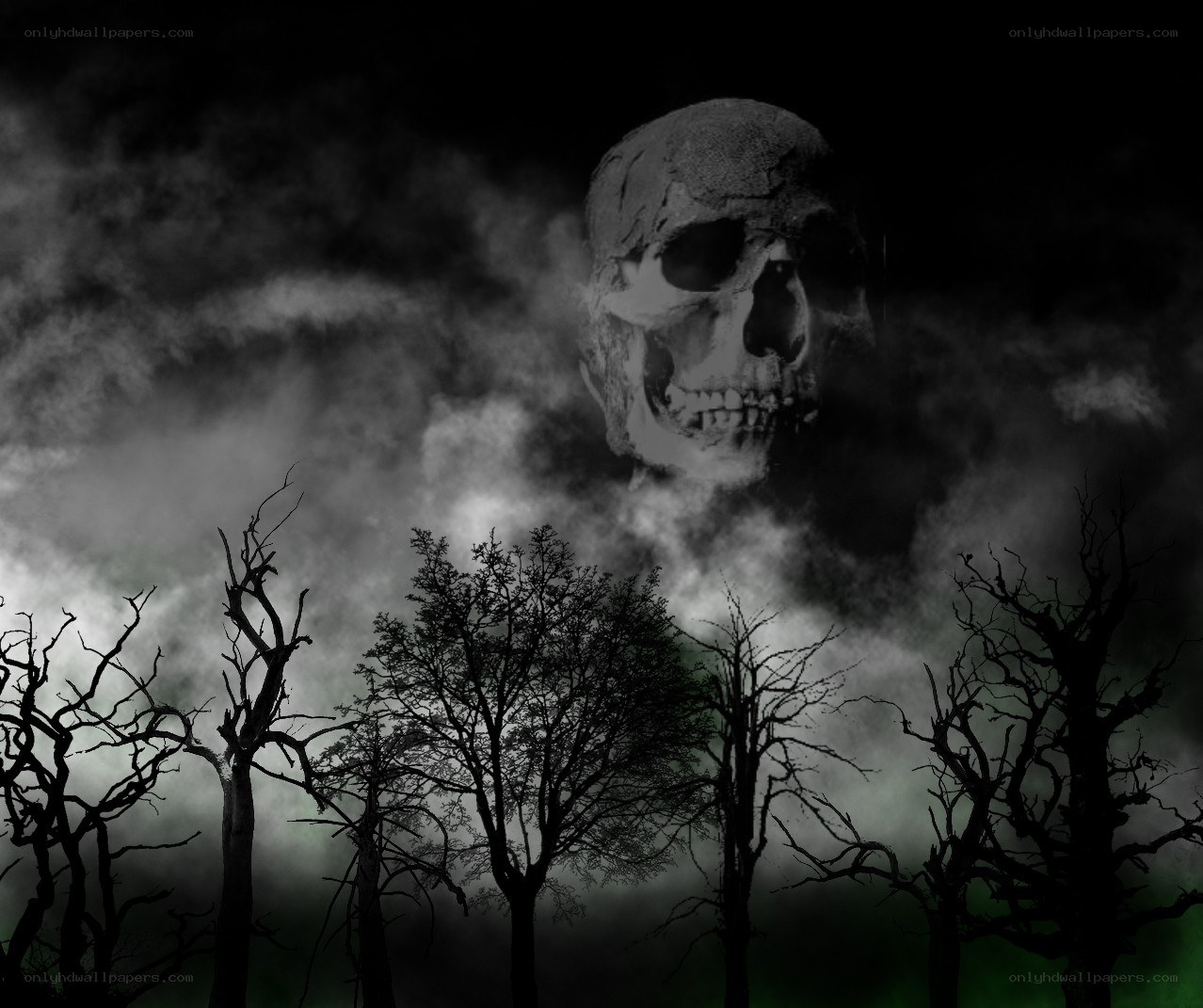 haunted forest with skull
