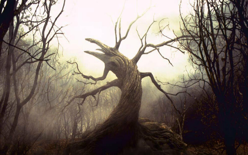 haunted forest with twisted tree