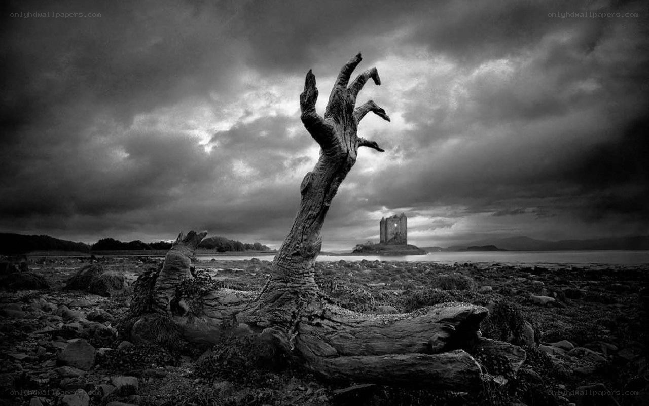 haunted hand sculpture by water