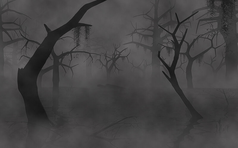 haunted swamp at night