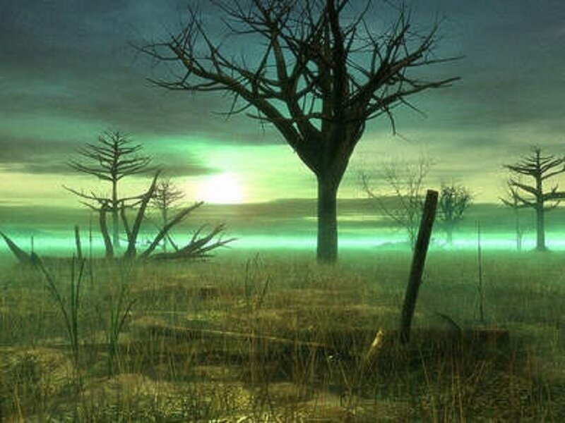 haunted swamp at sunset