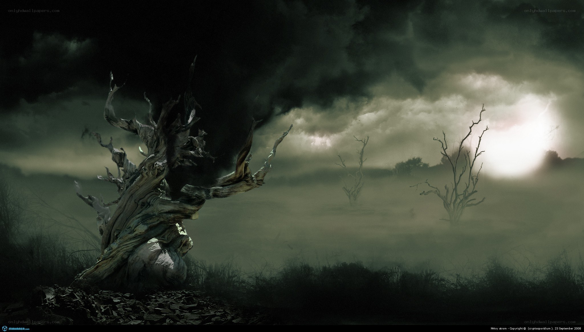 haunted tree in misty landscape