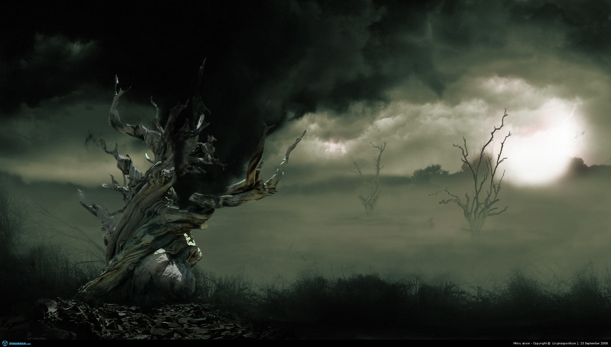 haunted tree in misty landscape