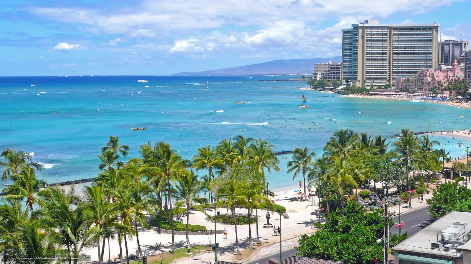 Hawaii beach with palm trees