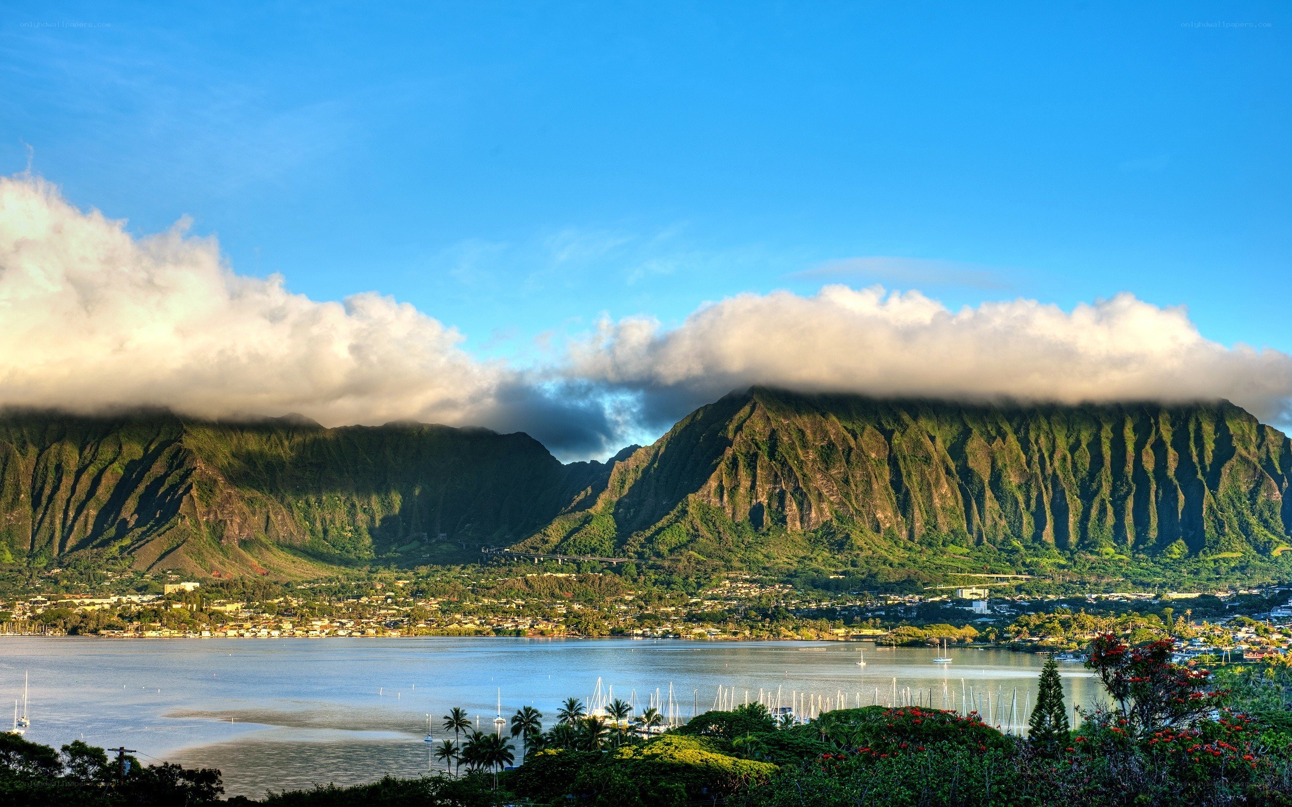 Hawaii mountains and harbor