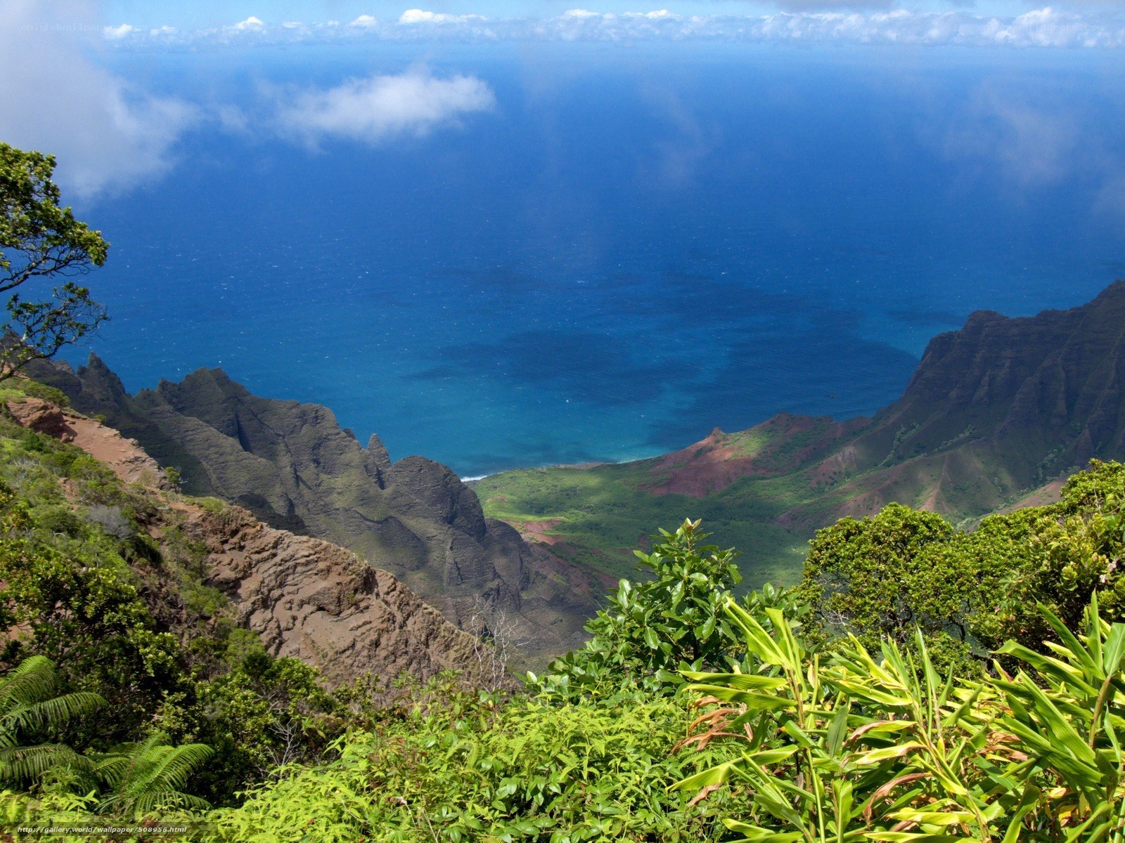 Hawaiian coastal landscape