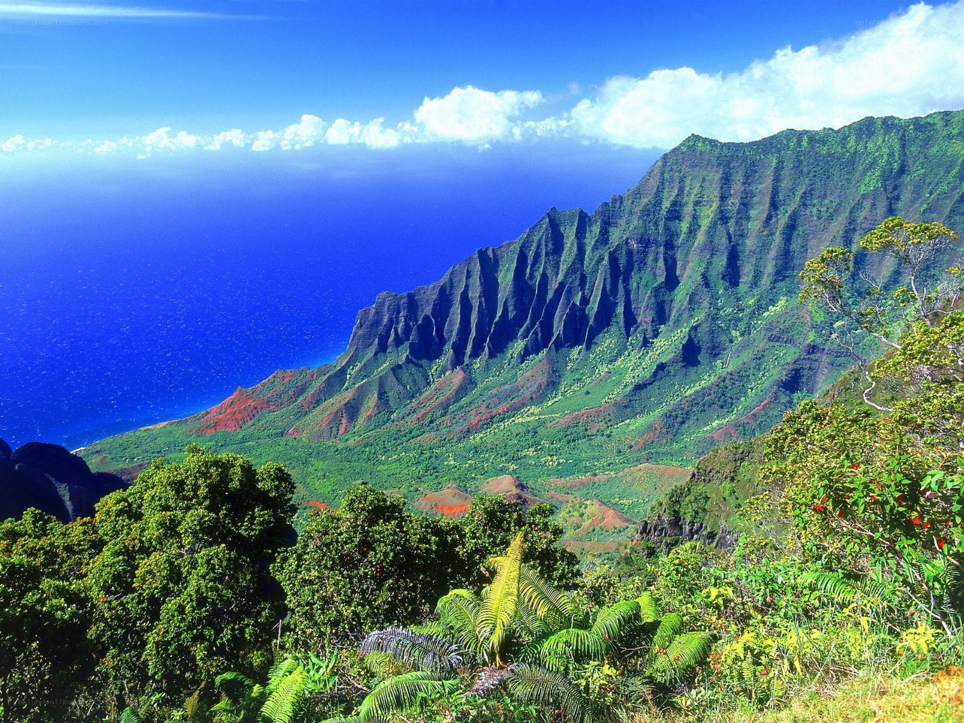 Hawaiian mountain landscape