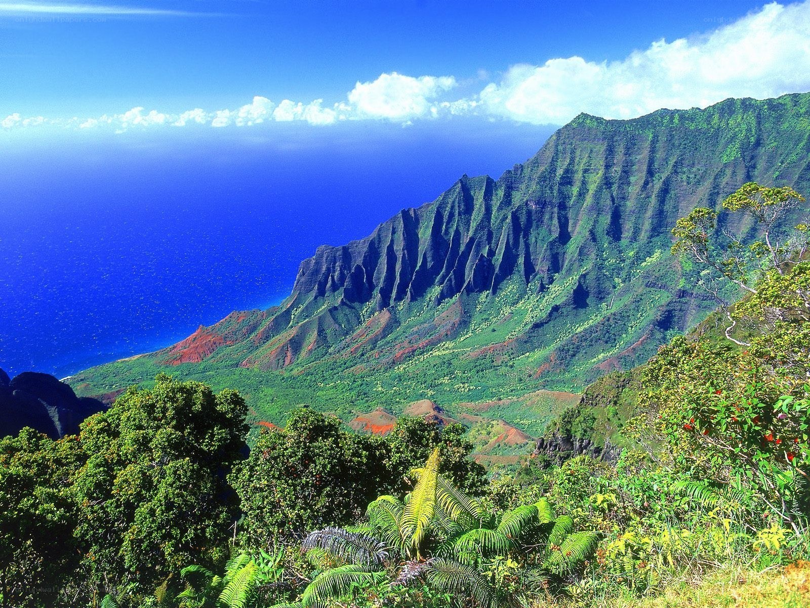 Hawaiian mountain landscape
