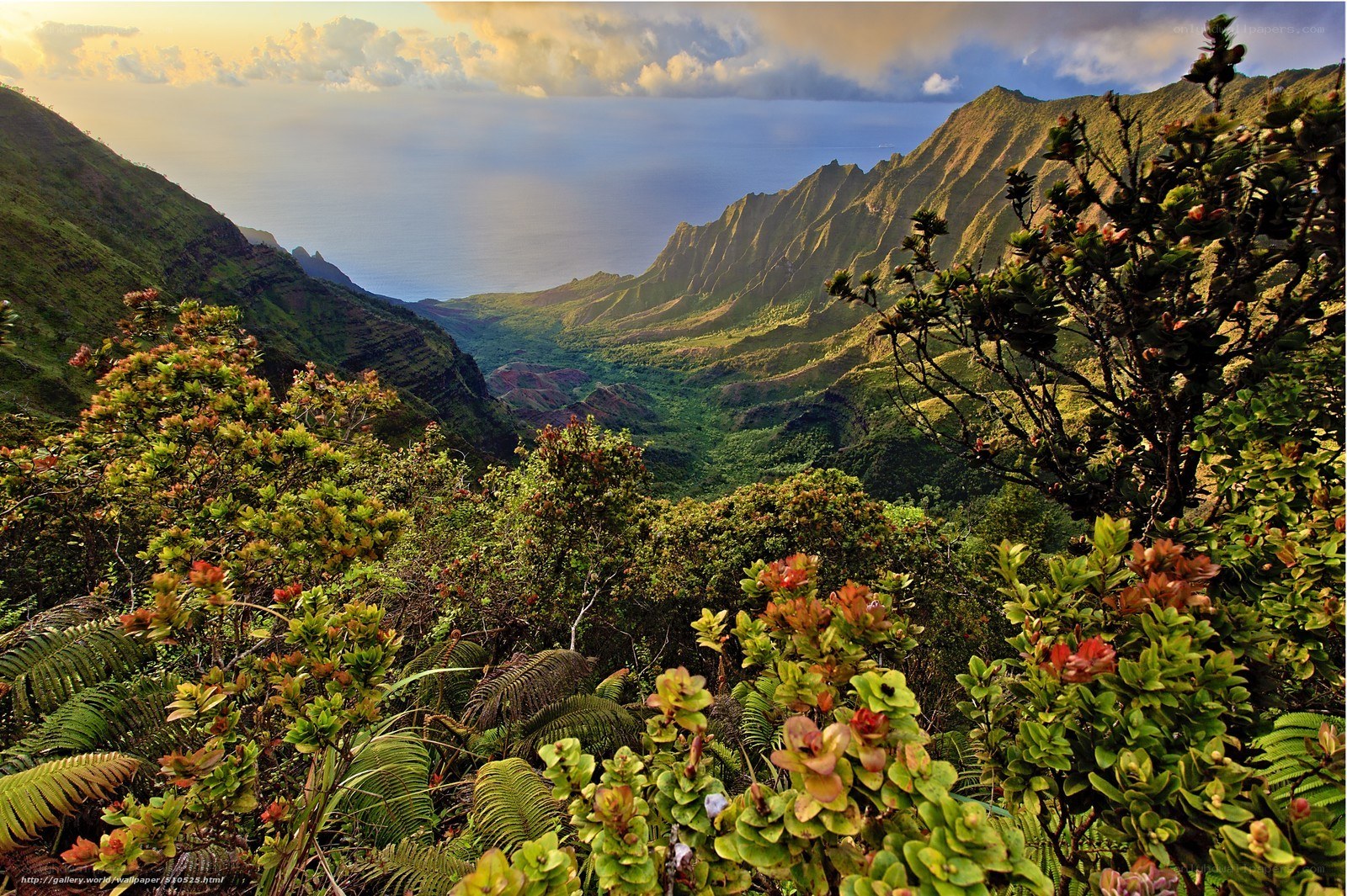 Hawaiian mountain valley at sunset