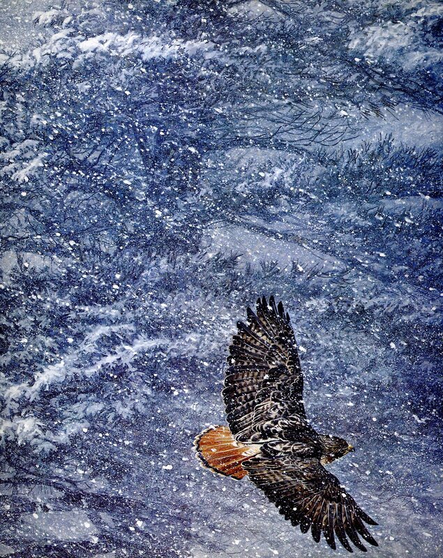 Hawk in a Snowstorm