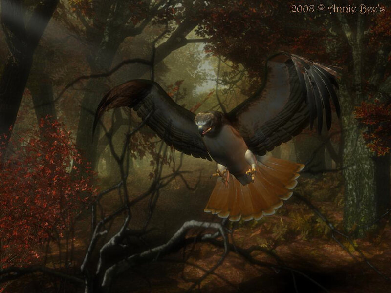 Hawk in autumn forest