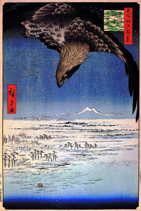 Hawk in the Night Sky