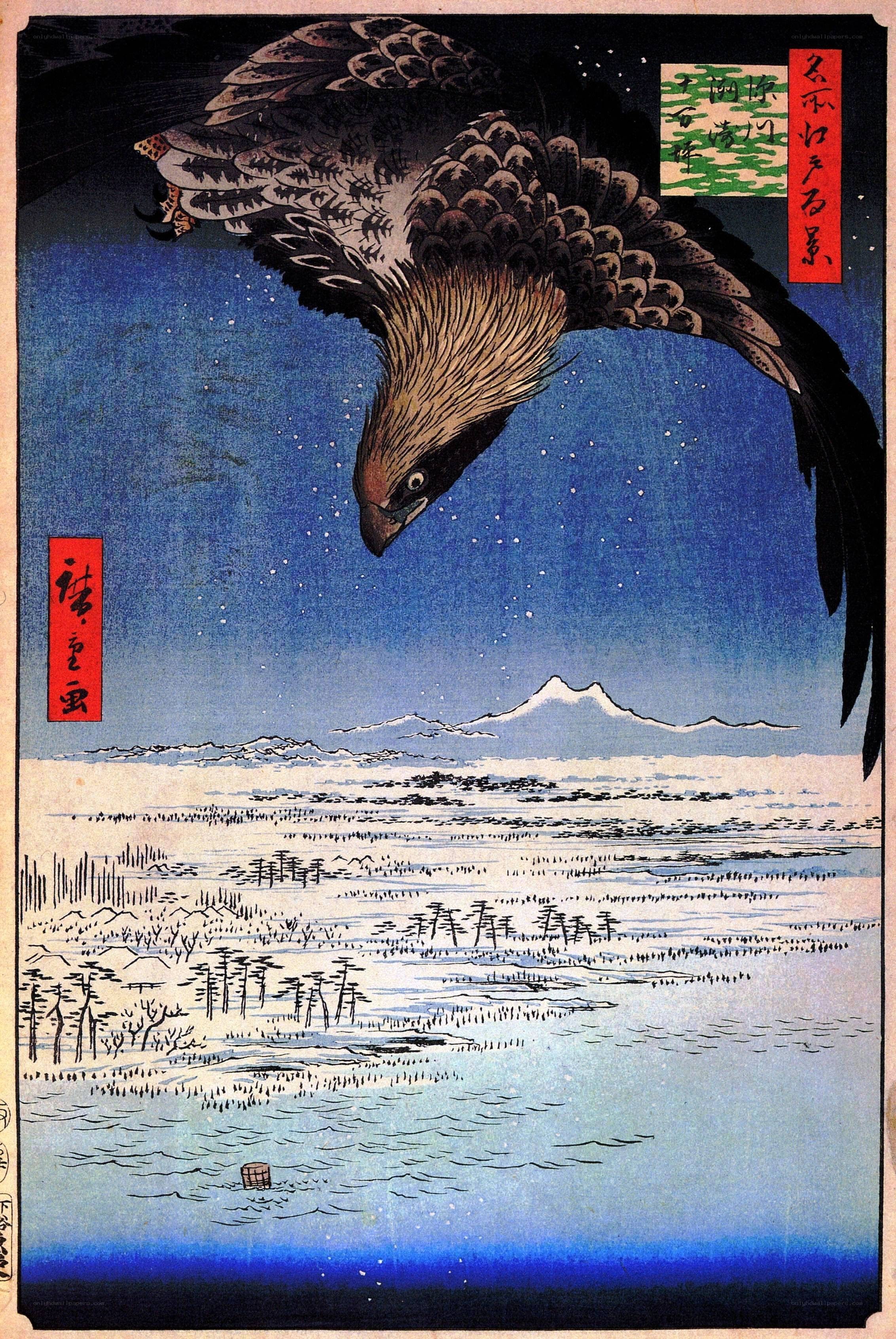 Hawk in the Night Sky