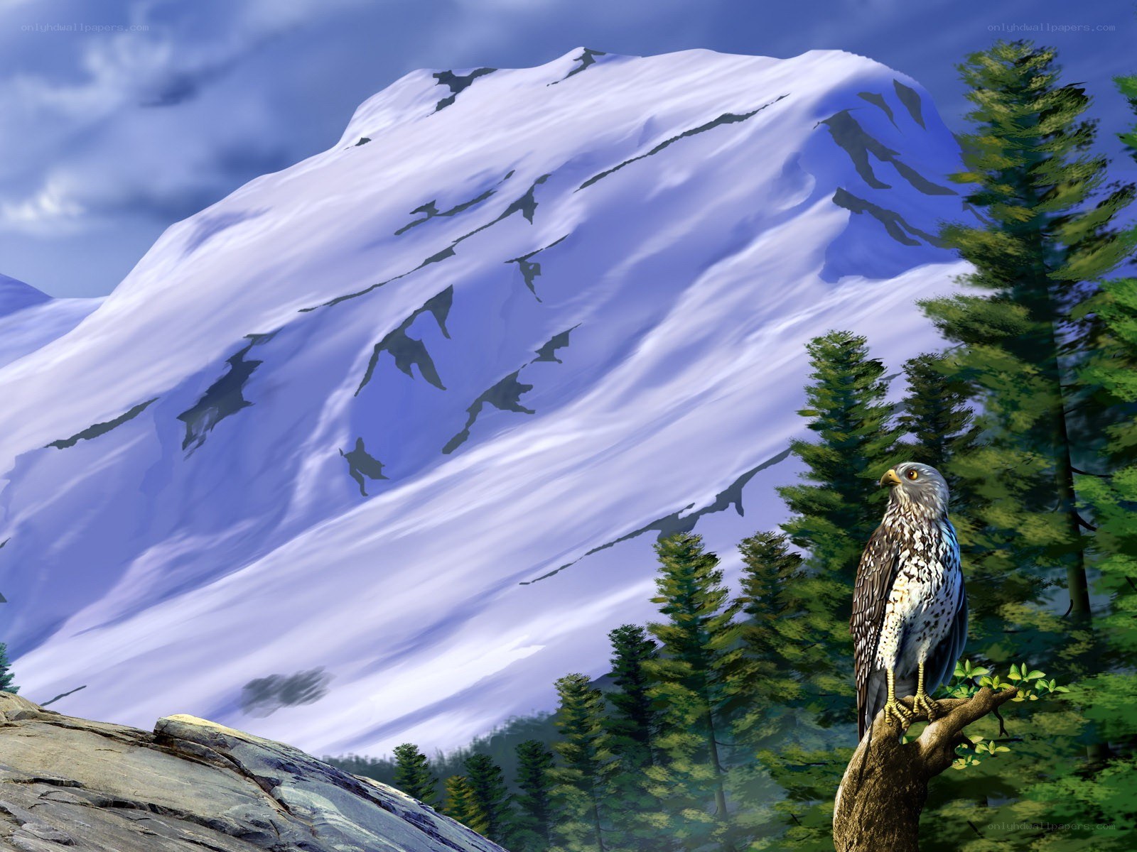 Hawk on a branch in mountains