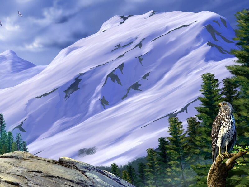 Hawk on a snowy mountain