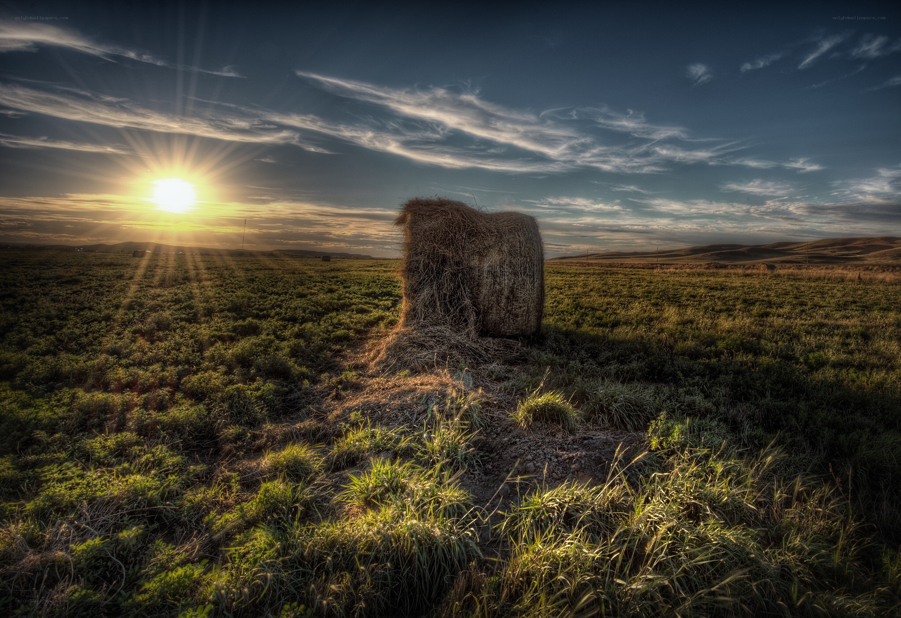 Hay bale at sunset in field