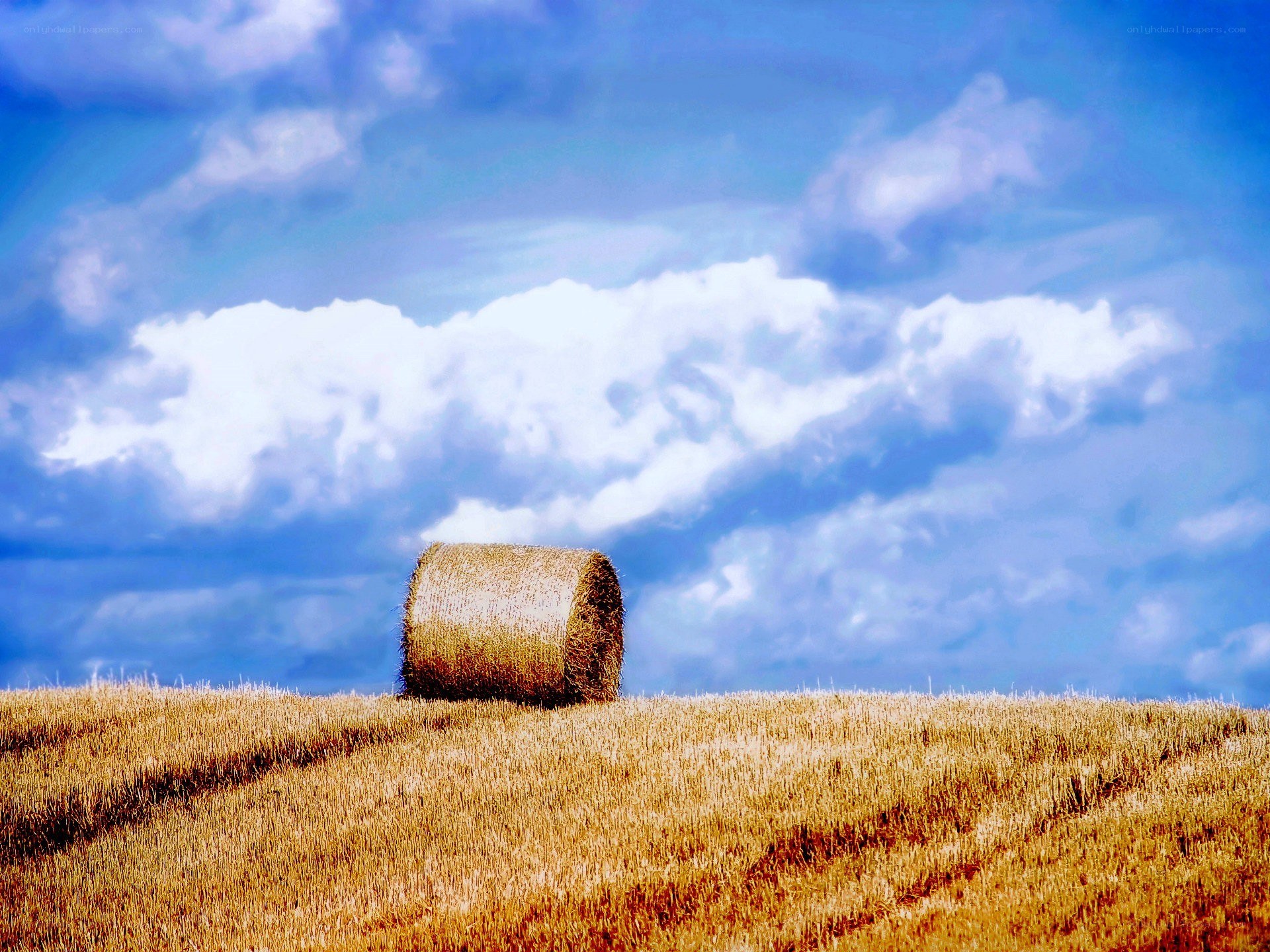 Hay bale in a field