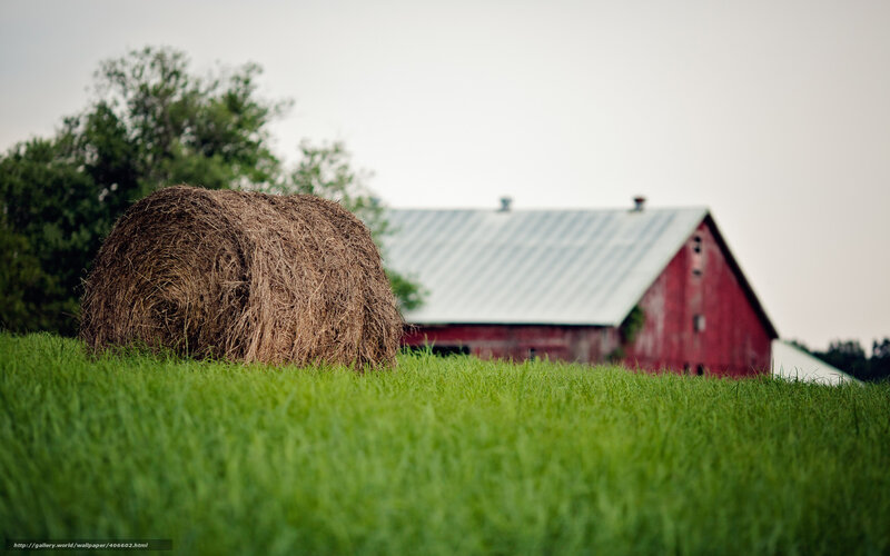 Hay bale in a green field