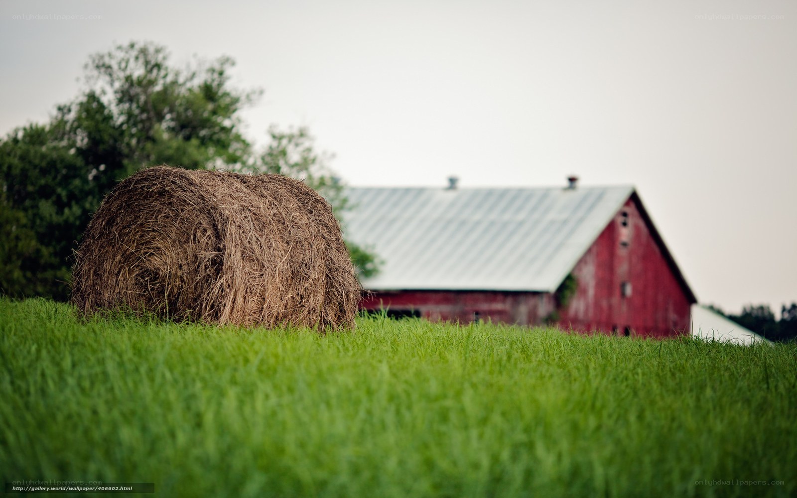 Hay bale in a green field