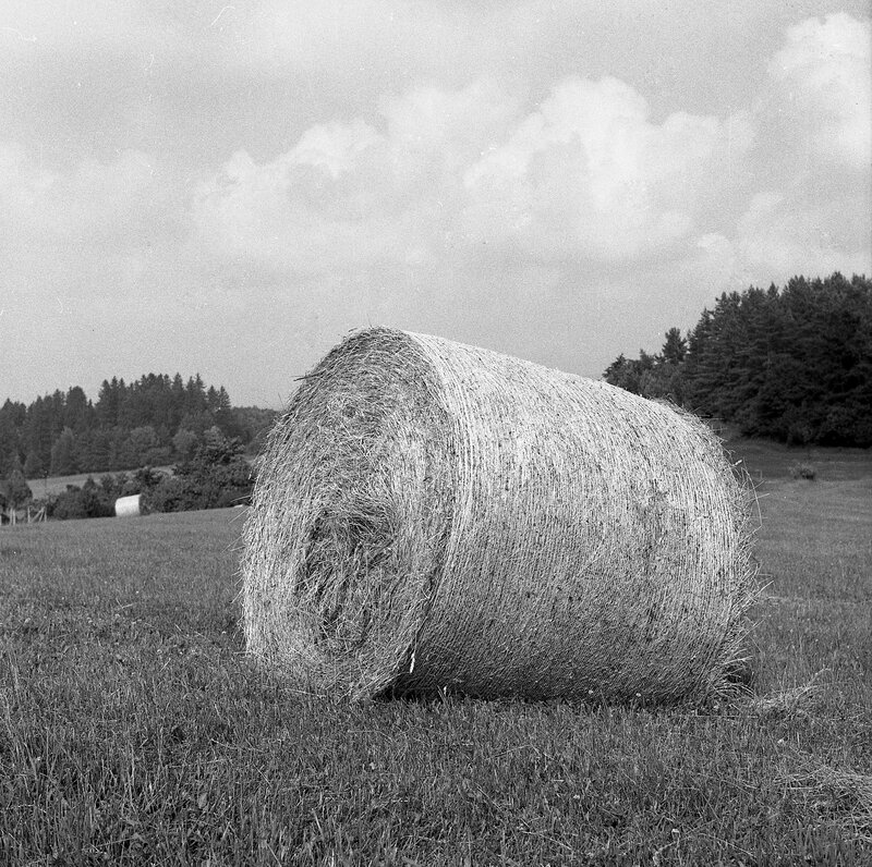 Hay Bale in Field — Black