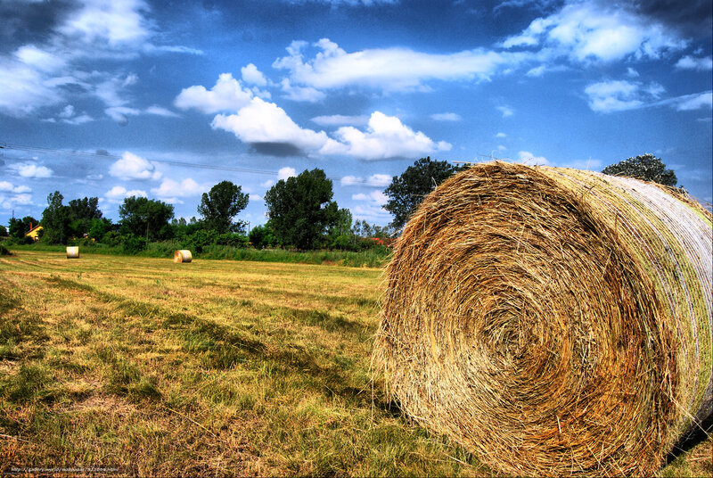 Hay Bale in Field — Blue, Dramatic, Afternoon