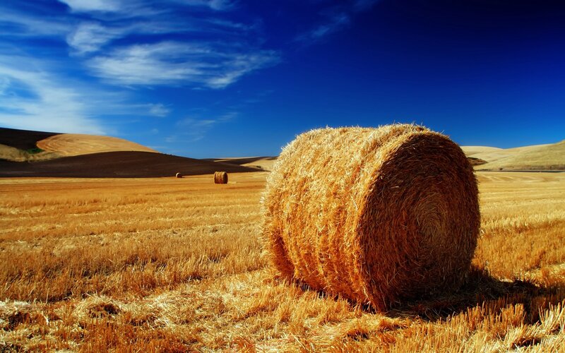 Hay Bale in Field — Blue, Photograph