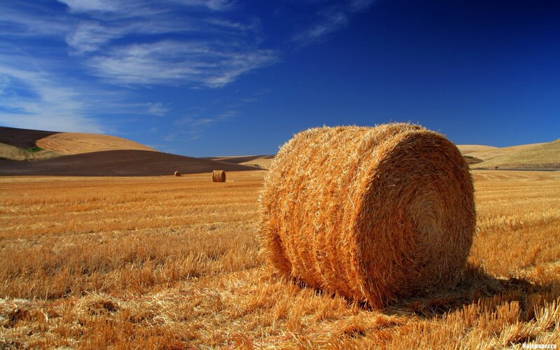 Hay Bale in Field — Blue, Serene, Afternoon, Photograph, Sky, Hills