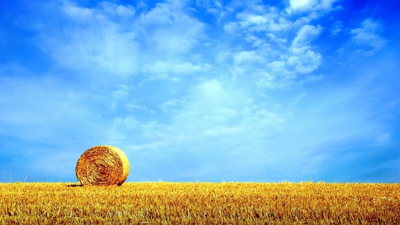 Hay Bale in Field — Blue, Serene, Afternoon, Photograph, Sky