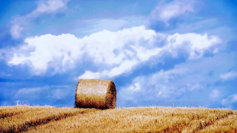Hay Bale in Field — Blue, Serene, Afternoon