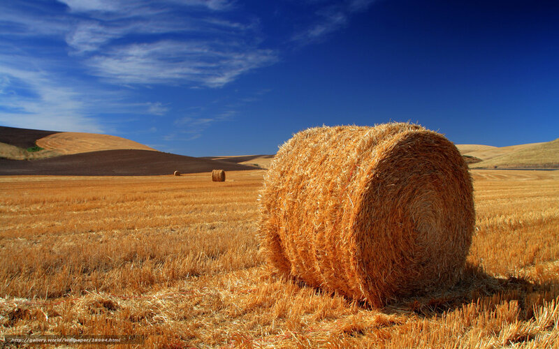 Hay Bale in Field — Blue, Serene