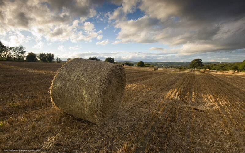 Hay Bale in Field — Brown, Dramatic, Afternoon, Photograph, Clouds