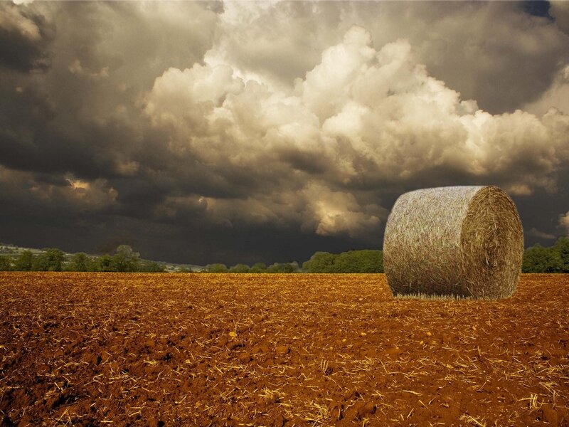 Hay Bale in Field — Brown, Dramatic, Afternoon, Photograph, Clouds, Trees