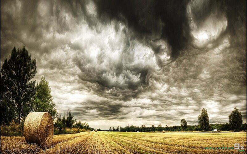 Hay Bale in Field — Brown, Dramatic, Afternoon