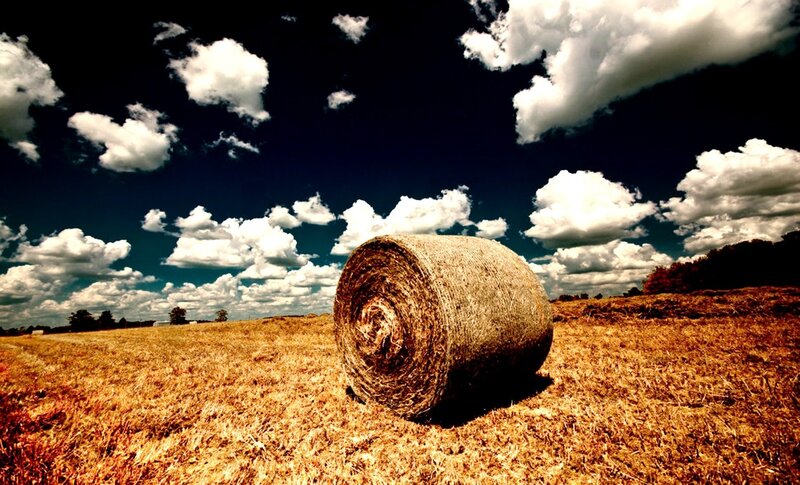 Hay Bale in Field — Brown, Dramatic