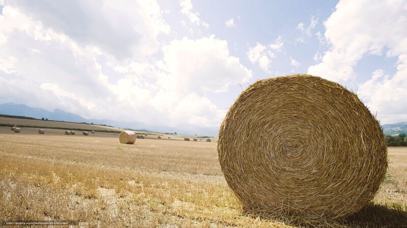 Hay Bale in Field — Brown, Serene