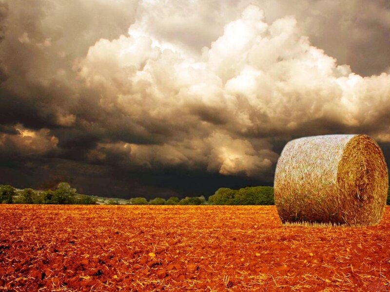Hay Bale in Field — Brown