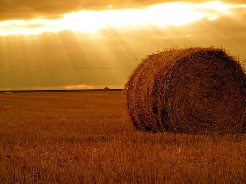 Hay Bale in Field — Gold, Dramatic