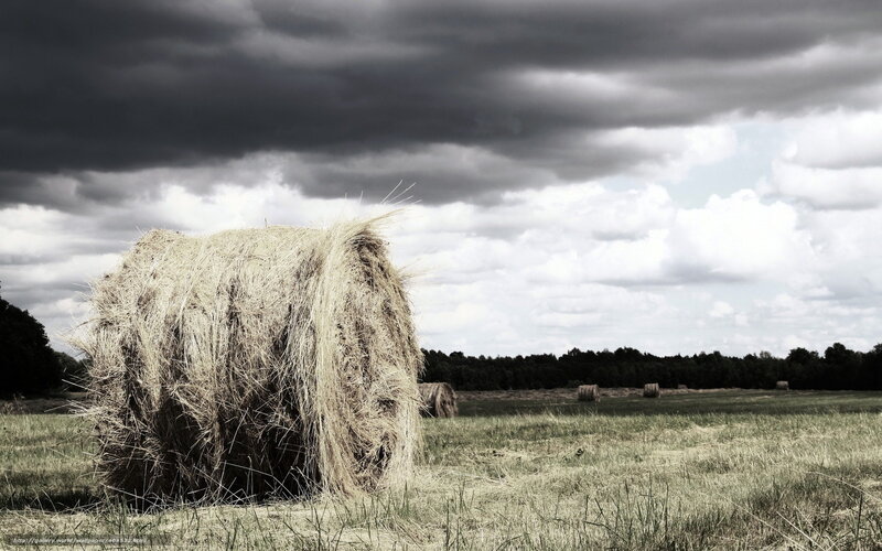Hay Bale in Field — Gray