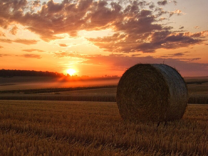 Hay Bale in Field — Orange, Serene