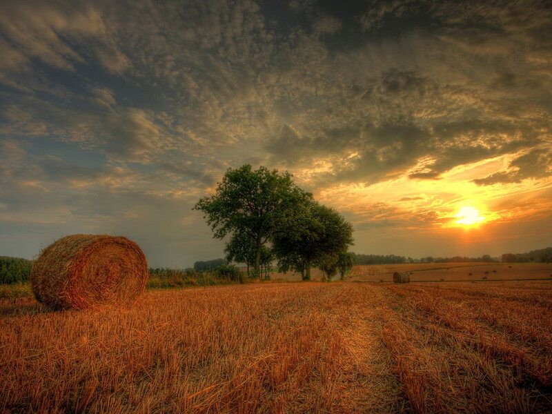 Hay Bale in Field — Orange