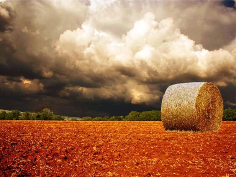 Hay Bale in Field — Trees