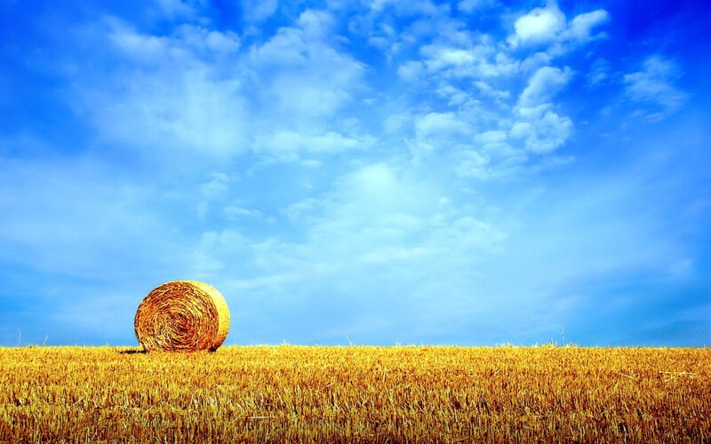 Hay Bale in Field — White